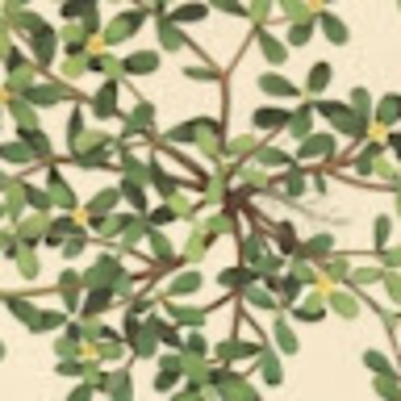 Meet your Posher, Aidan - Picture 1 of 1